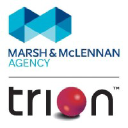 Trion Group logo