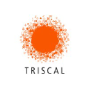 Triscal logo