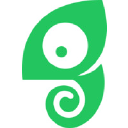 Chameleon Logo com