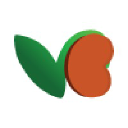 VentureBean Consulting Pvt Ltd