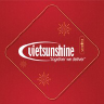 Vietsunshine Electronic Solution logo