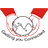 V Link Systems logo