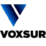 VoxSur SRL logo