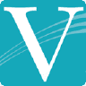 VSGi logo