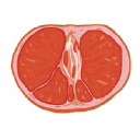Womco logo