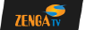 Zenga Media logo
