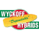 wyckoffhybrids.com