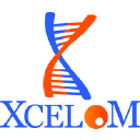 xcelom.com