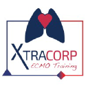 xtracorp.consulting