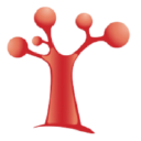XYone Therapeutics Inc.