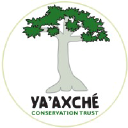 yaaxche.org