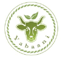 yabaani.com