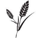 yaosecret.com Logo