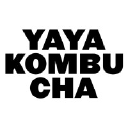 yayakombucha.com