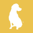yellowdogdenver.com