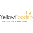 yellowfoods.com.co