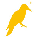 yellowhammernews.com