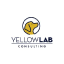 yellowlabconsulting.com.au