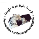 yemenileopard.org