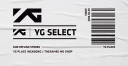 Logo for ygselect.com