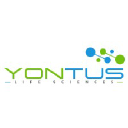 yontus.com