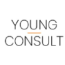 youngconsult.dk