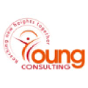 youngconsultingllc.com