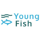 youngfish.org