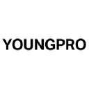 youngpro-consulting.com