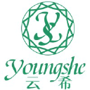 youngshechem.com