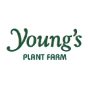 youngsplantfarm.com