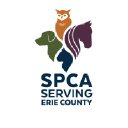 yourspca.org