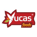 yucas.com.br