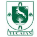 Yucatec