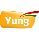 yung.com.br