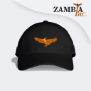 zambiainc.com