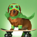zanypetshop.com