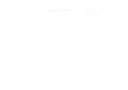 ZB  Avatar