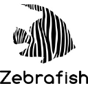 zebrafish.be