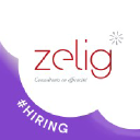 zelig-consultants.com