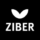 Ziber logo