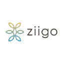 ziigo.com.br