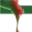 Avatar logo
