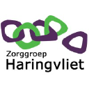 zorggroepharingvliet.nl