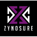 zynosure.com